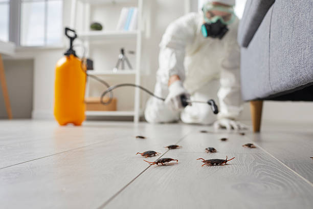 Commercial Kitchen Cockroach Control in Winona Lake
